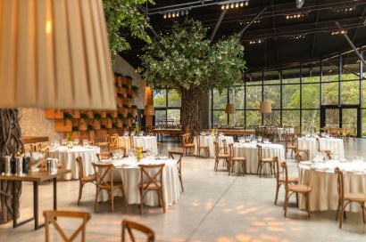 Restaurante - Traspaso -
            Benijofar - TRNEX27-25