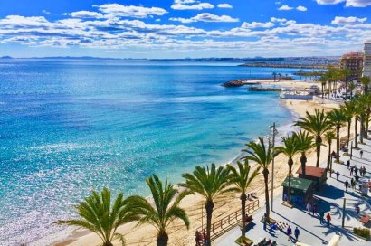 Restaurante - Traspaso - Torrevieja -
                Playa del Cura