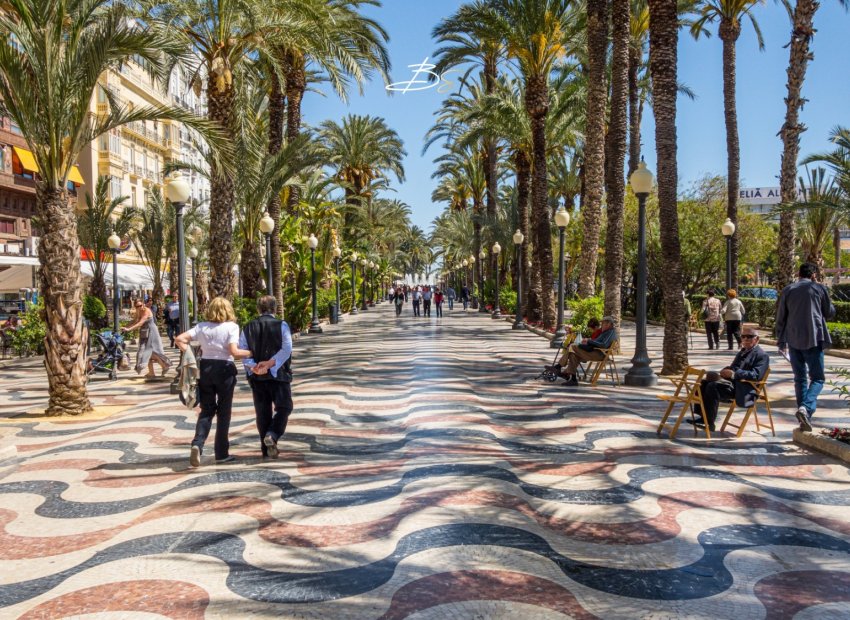 Transfer - Bar - CoffeShop -
Alicante - Centro