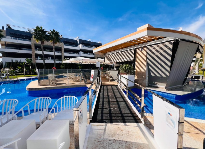 Transfer - Bar - CoffeShop -
Orihuela Costa