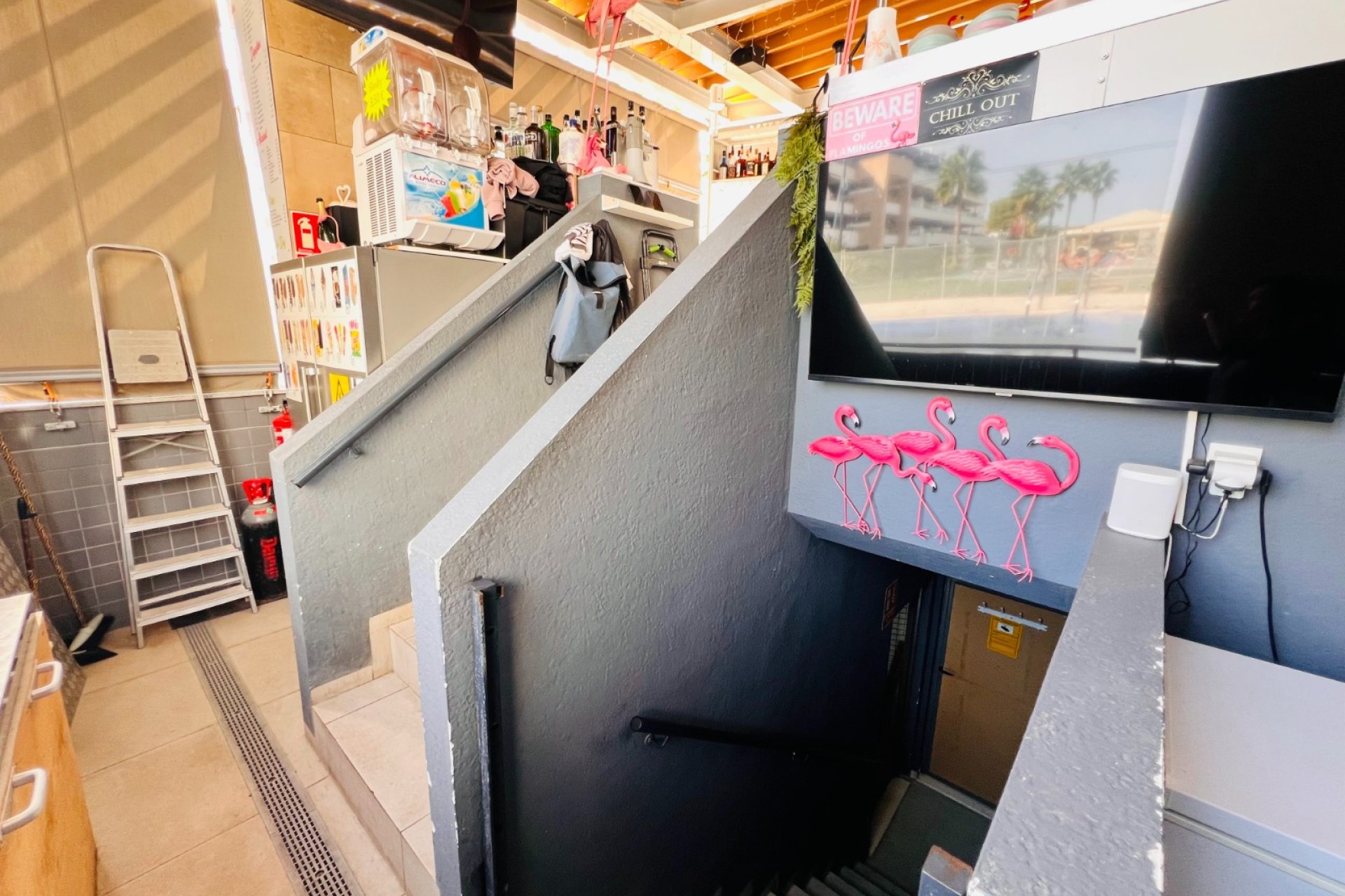 Transfer - Bar - CoffeShop -
Orihuela Costa