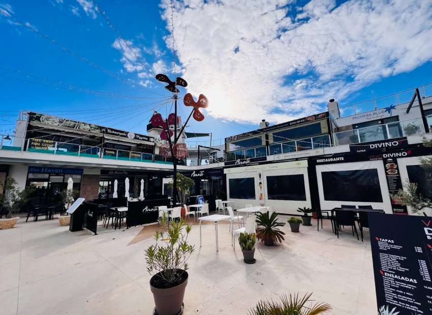 Transfer - Bar - CoffeShop -
Torre de la Horadada