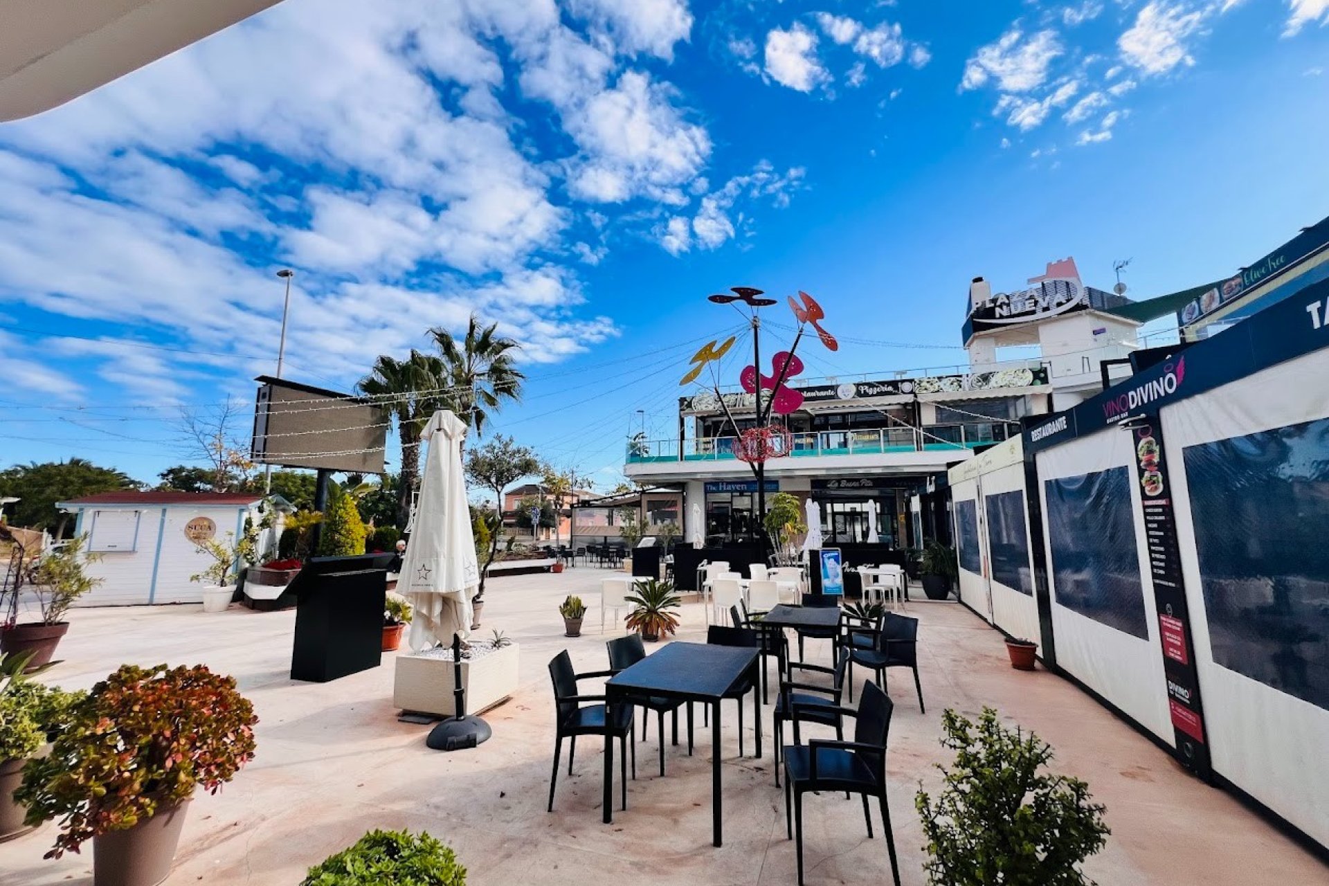 Transfer - Bar - CoffeShop -
Torre de la Horadada