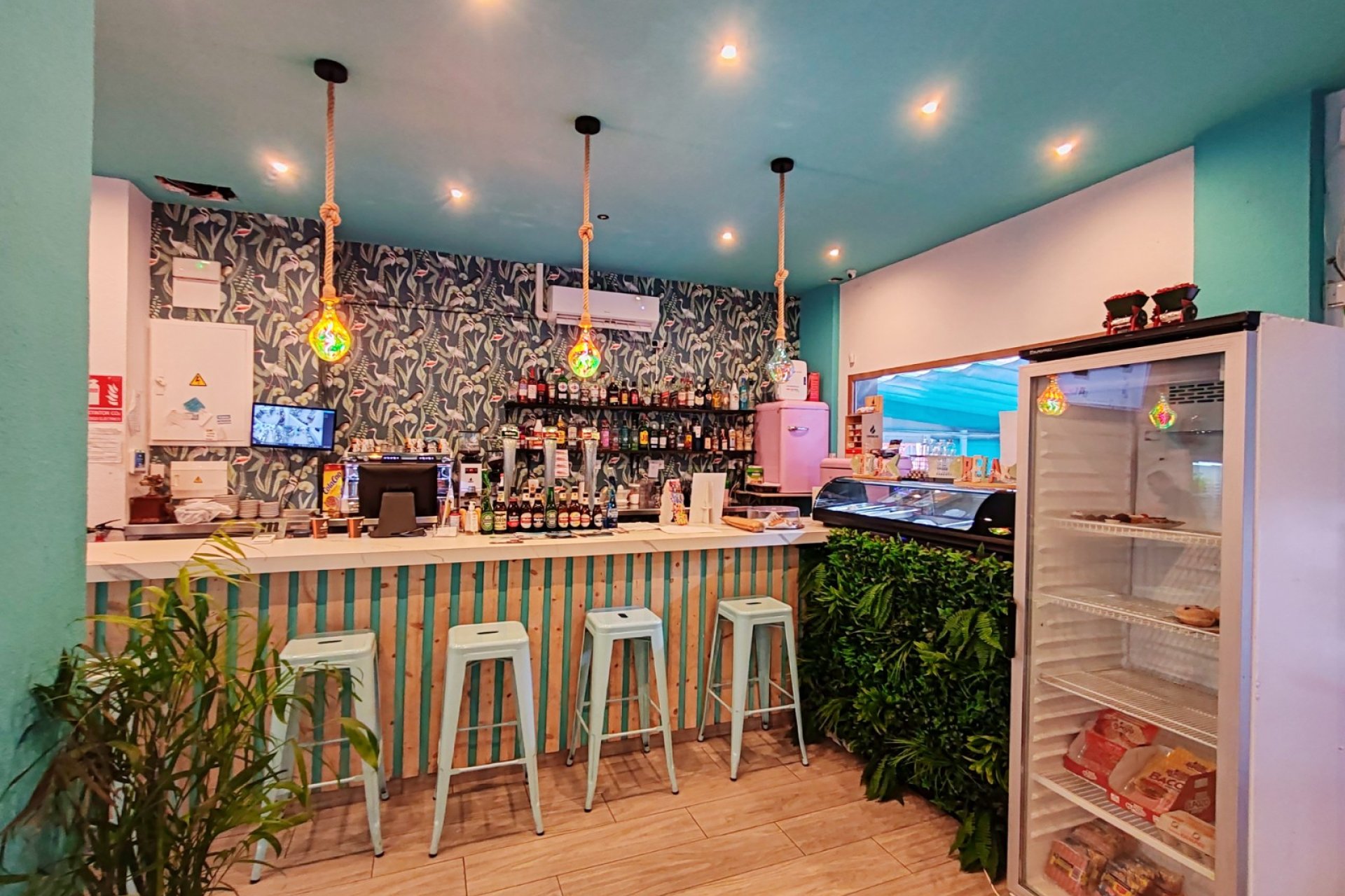 Transfer - Bar - CoffeShop -
Torrevieja - Centro