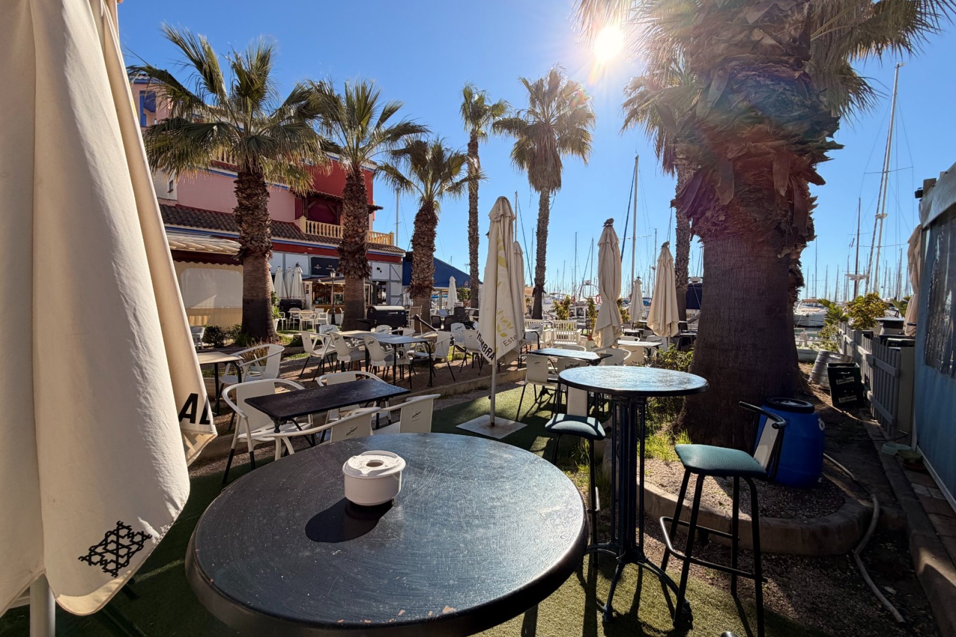 Transfer - Bar - CoffeShop -
Torrevieja - Centro