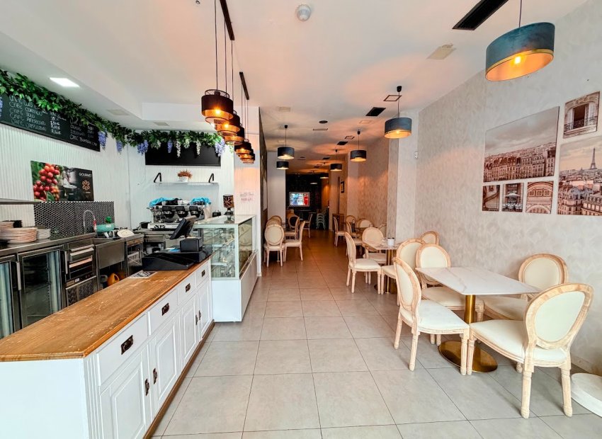 Transfer - Cafeteria -
Torrevieja - Centro
