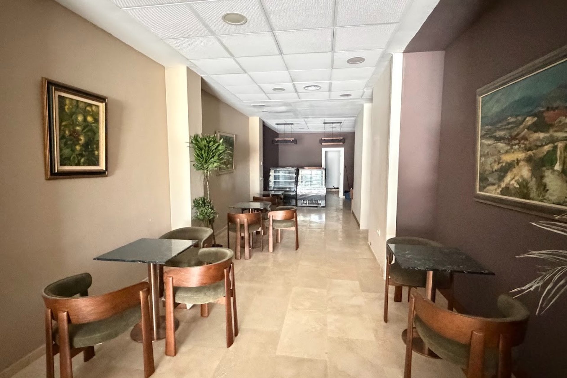 Transfer - Cafeteria -
Torrevieja - Centro