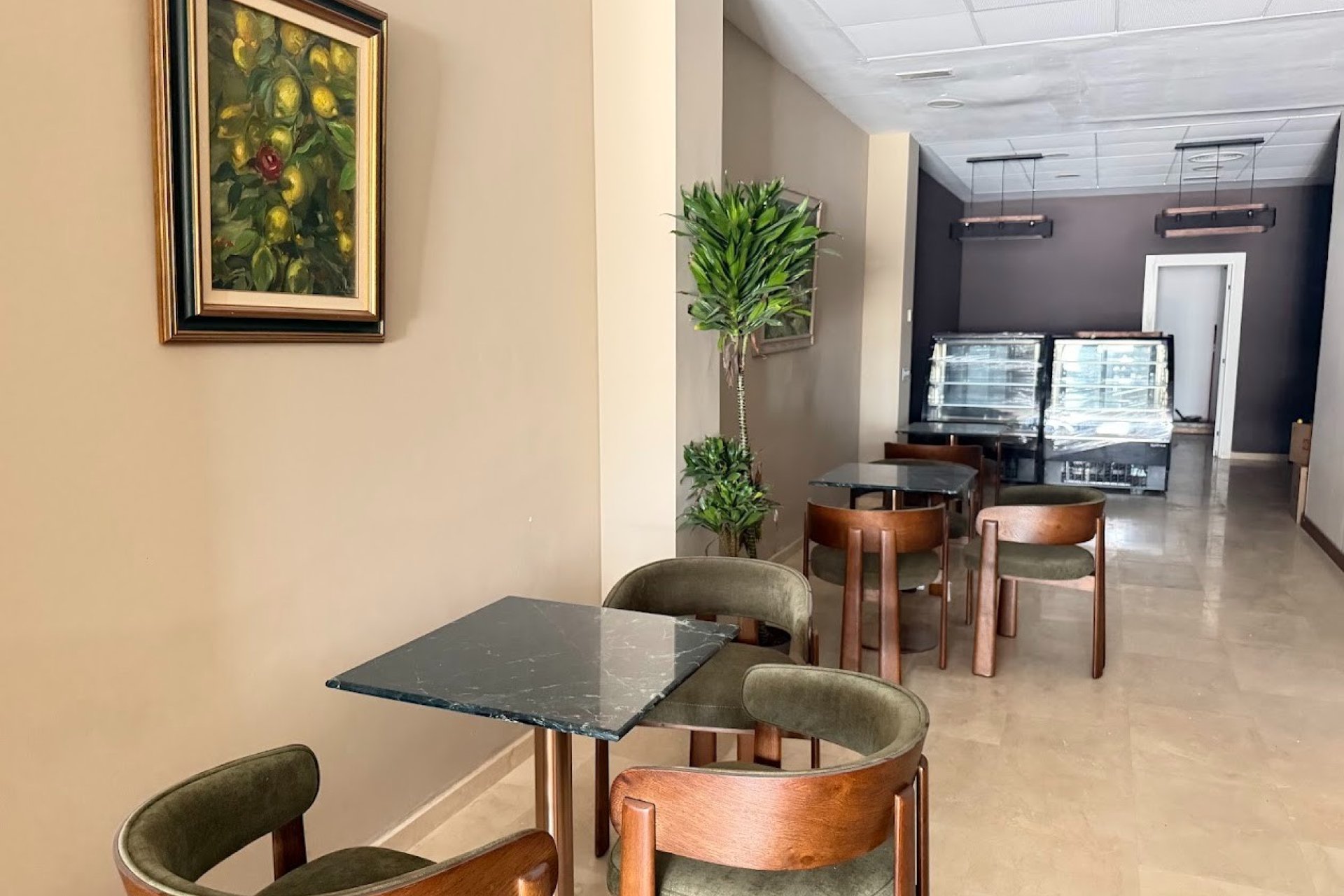 Transfer - Cafeteria -
Torrevieja - Centro