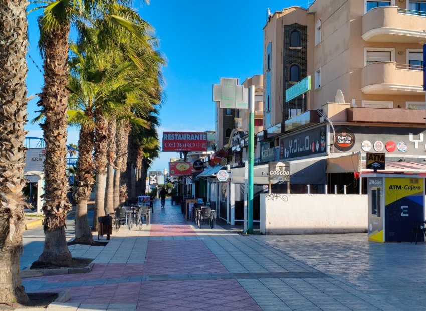 Transfer - Restaurant -
Orihuela Costa - Cabo roig - La Zenia