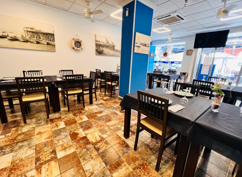 Transfer - Restaurant -
Torrevieja - Centro