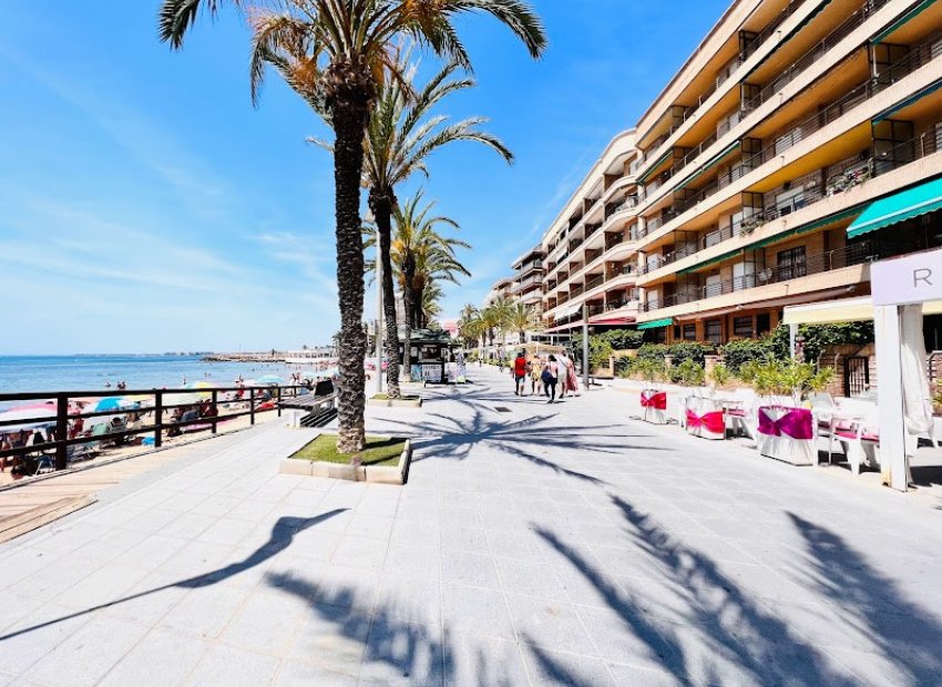 Transfer - Restaurant -
Torrevieja - Centro