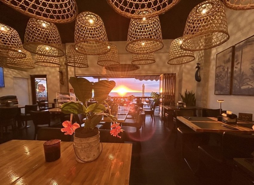 Transfer - Restaurant -
Torrevieja - Centro