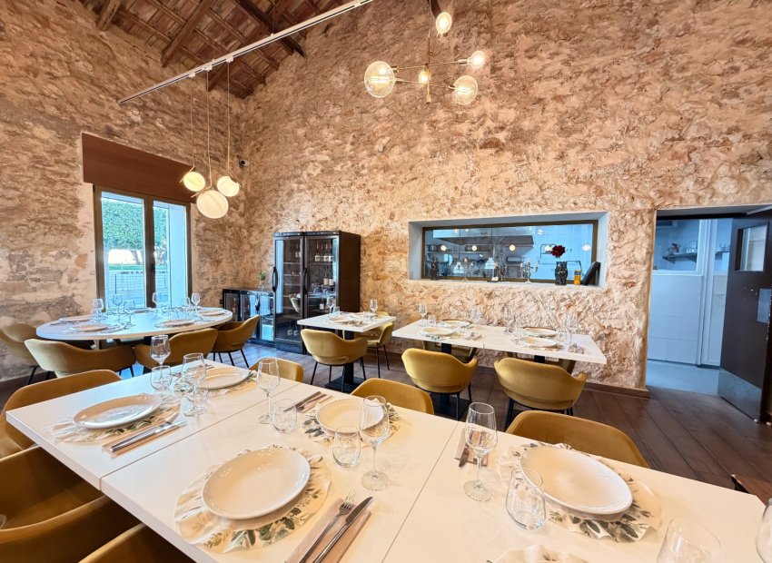 Transfer - Restaurant -
Torrevieja - Centro
