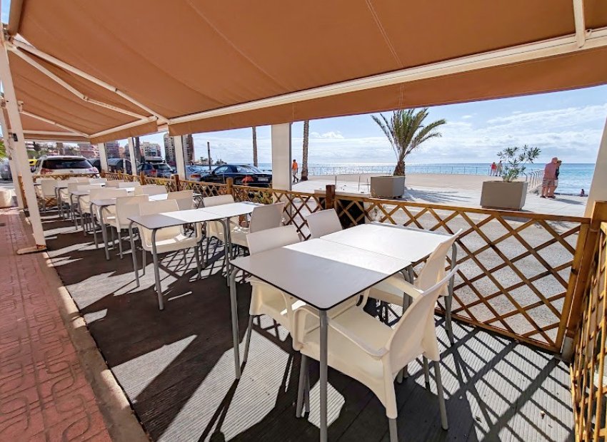 Transfer - Restaurant -
Torrevieja - Centro