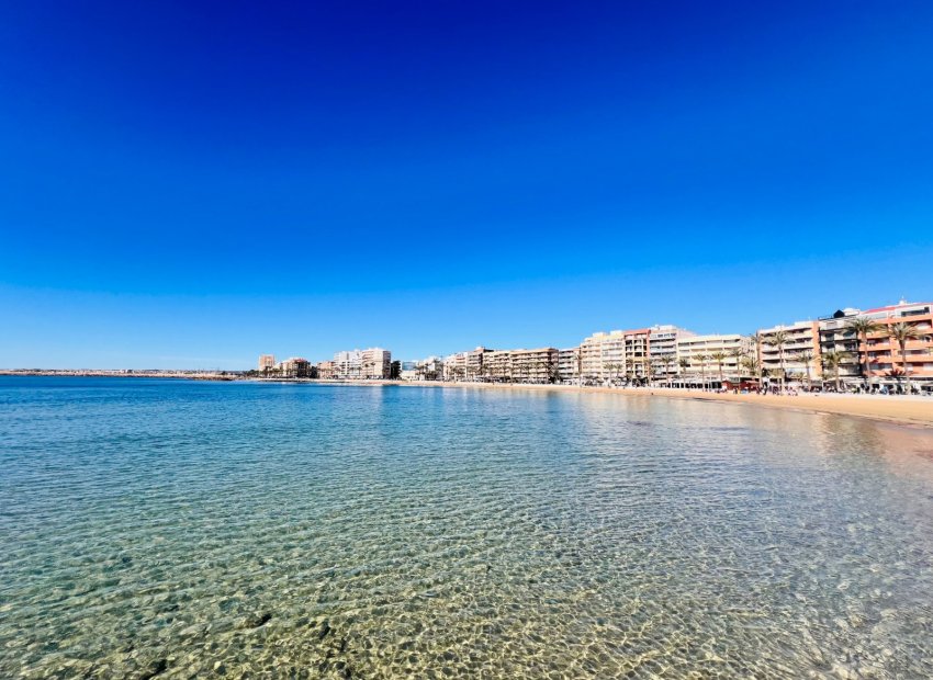 Transfer - Restaurant -
Torrevieja - Playa de los Locos