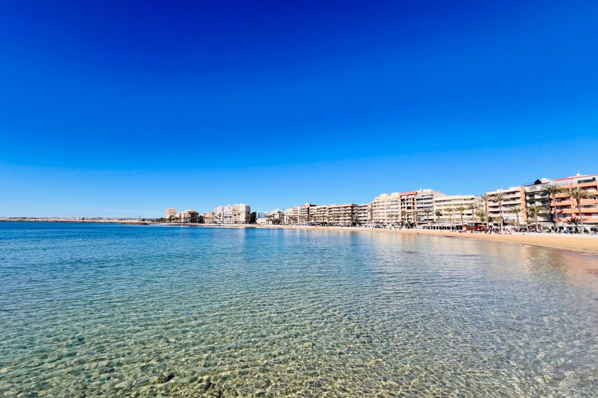 Transfer - Restaurant -
Torrevieja - Playa de los Locos