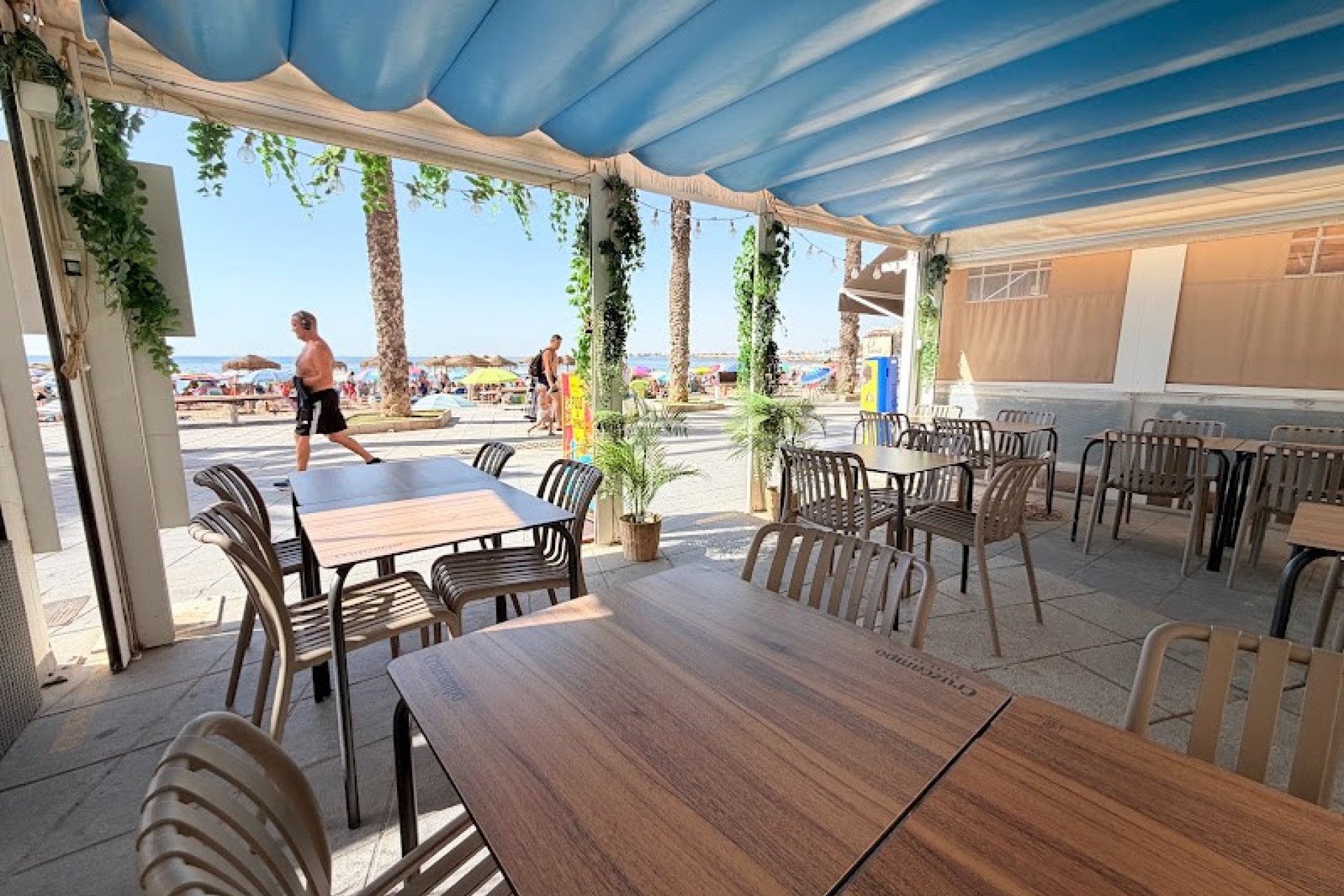 Transfer - Restaurant -
Torrevieja - Playa del Cura