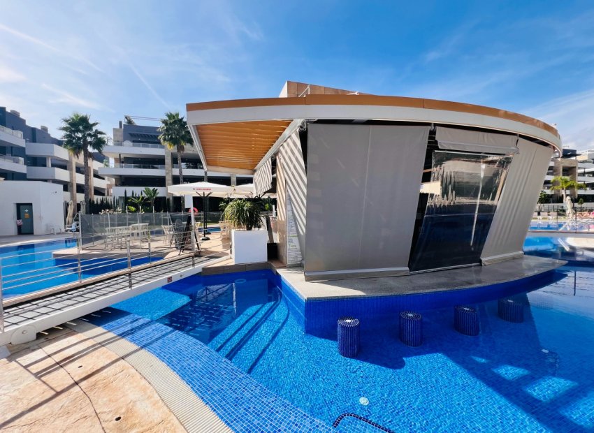 Transfert - Bar - Cafétéria -
Orihuela Costa