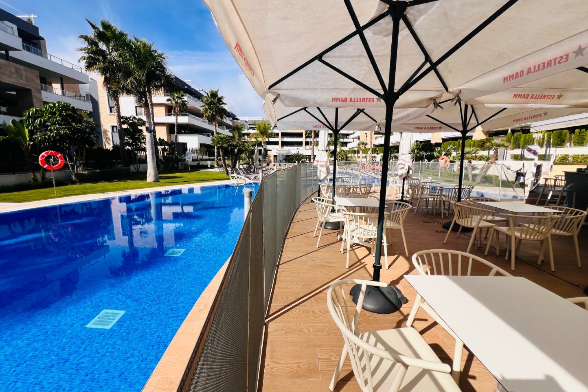 Transfert - Bar - Cafétéria -
Orihuela Costa