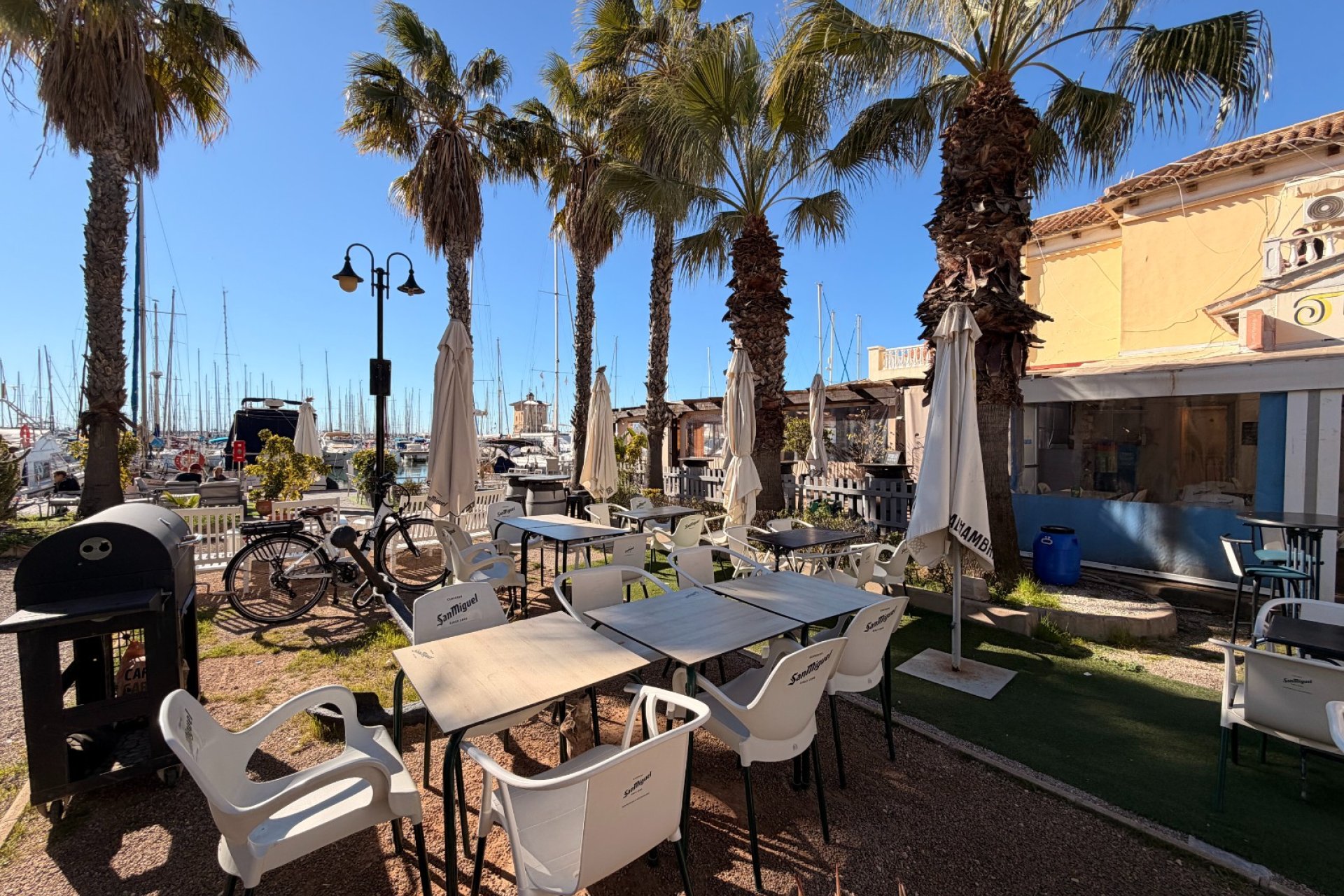 Transfert - Bar - Cafétéria -
Torrevieja - Centro