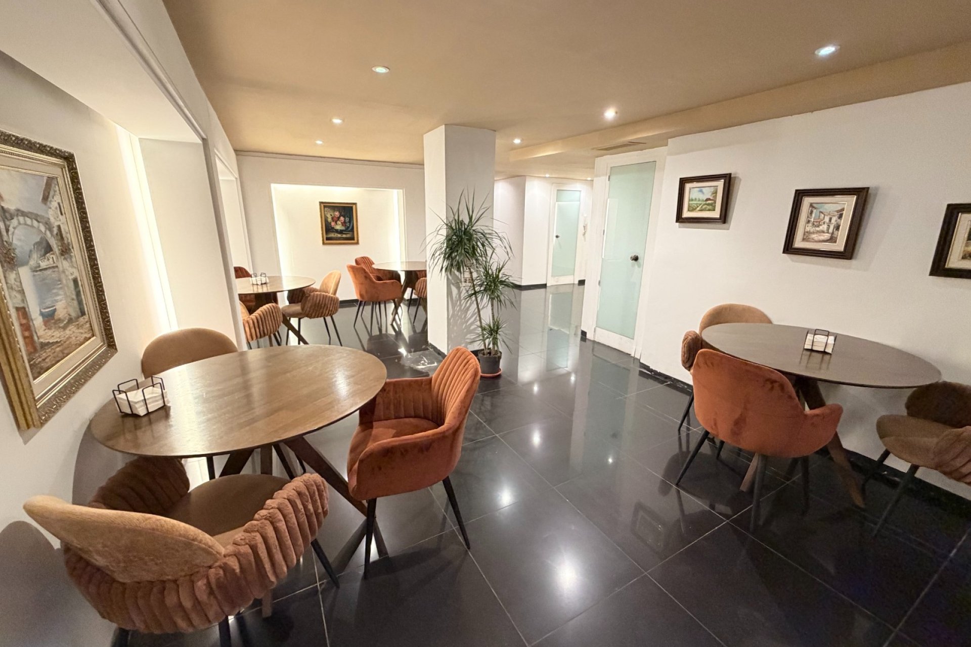 Transfert - Cafeteria -
Torrevieja - Centro