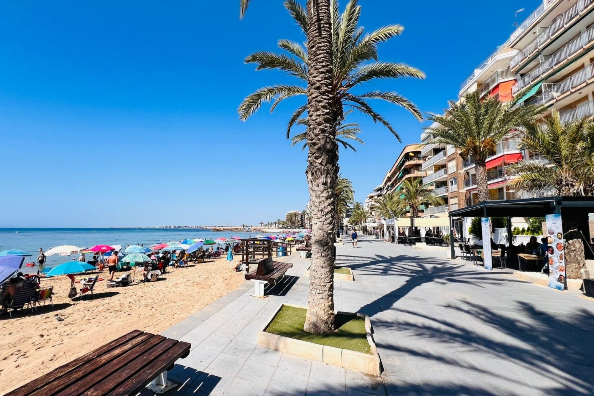 Transfert - Restaurant -
Torrevieja - Centro