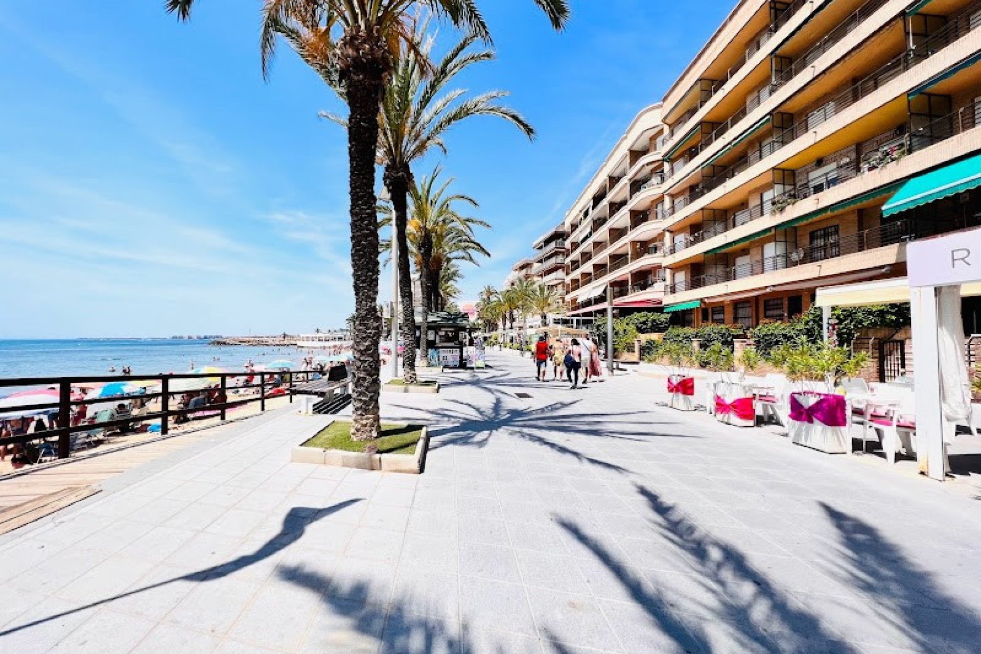 Transfert - Restaurant -
Torrevieja - Centro