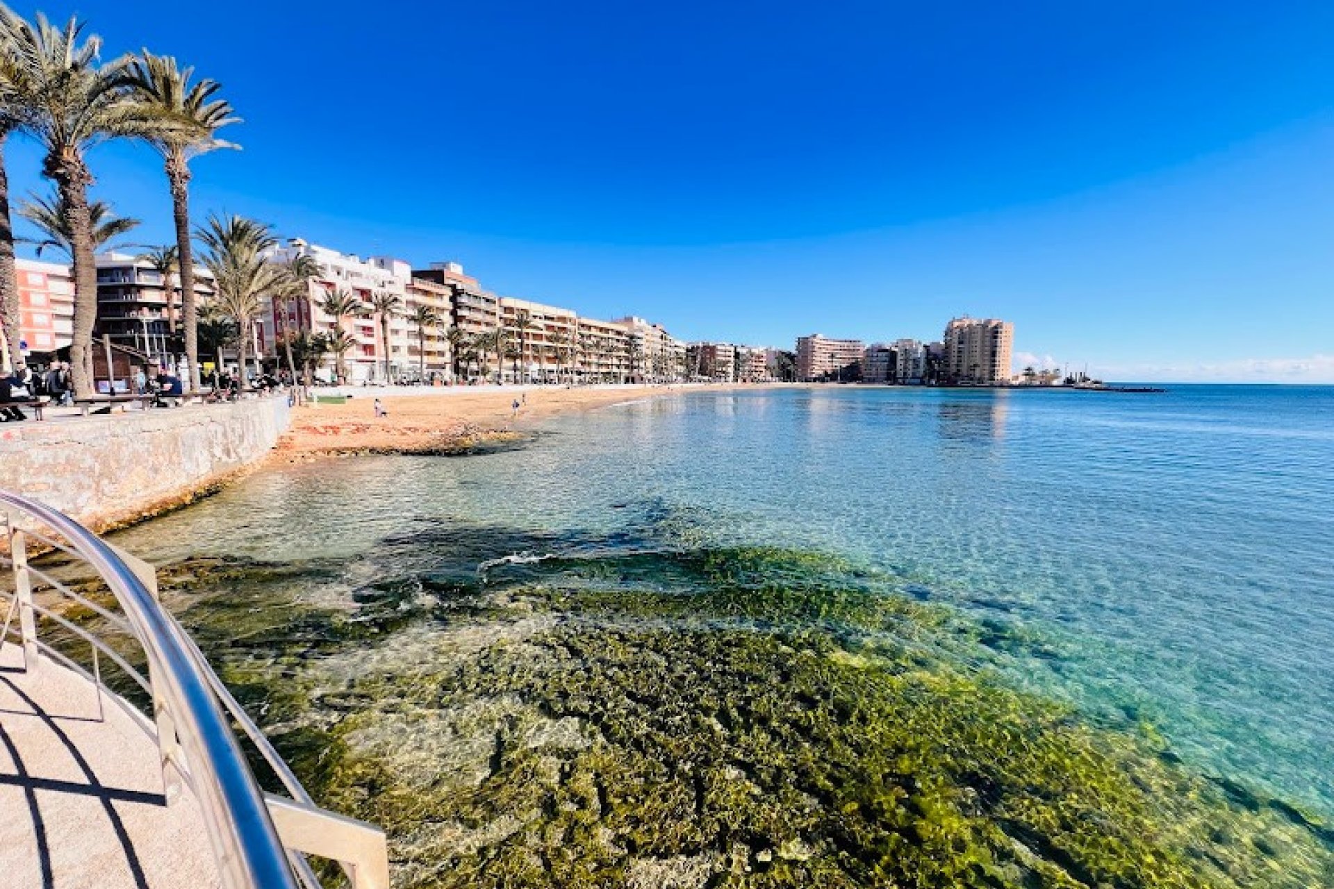 Transfert - Restaurant -
Torrevieja - Centro