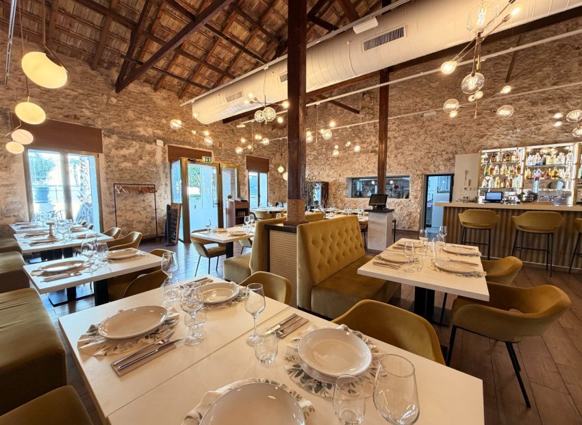 Transfert - Restaurant -
Torrevieja - Centro