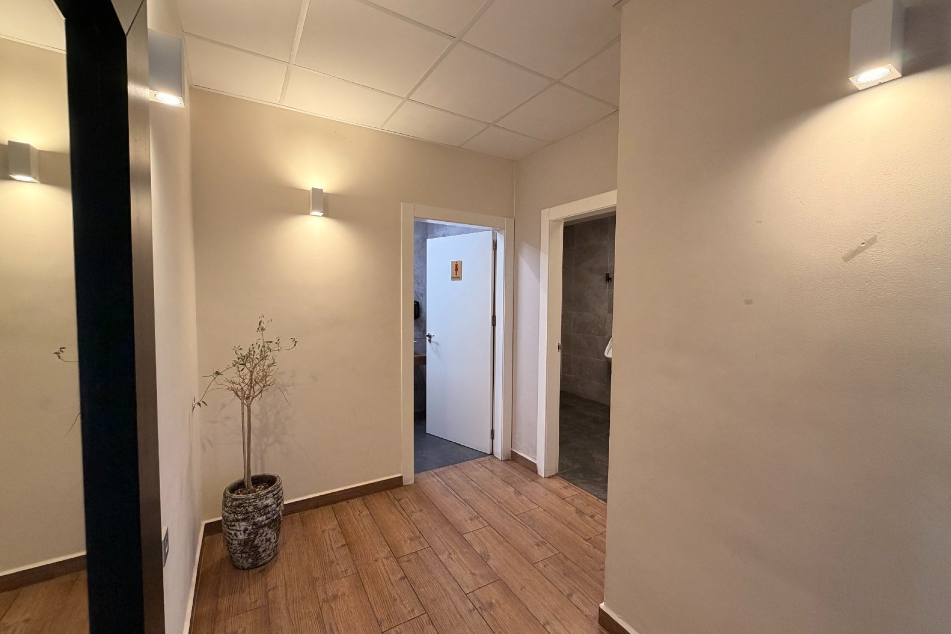 Transfert - Restaurant -
Torrevieja - Centro