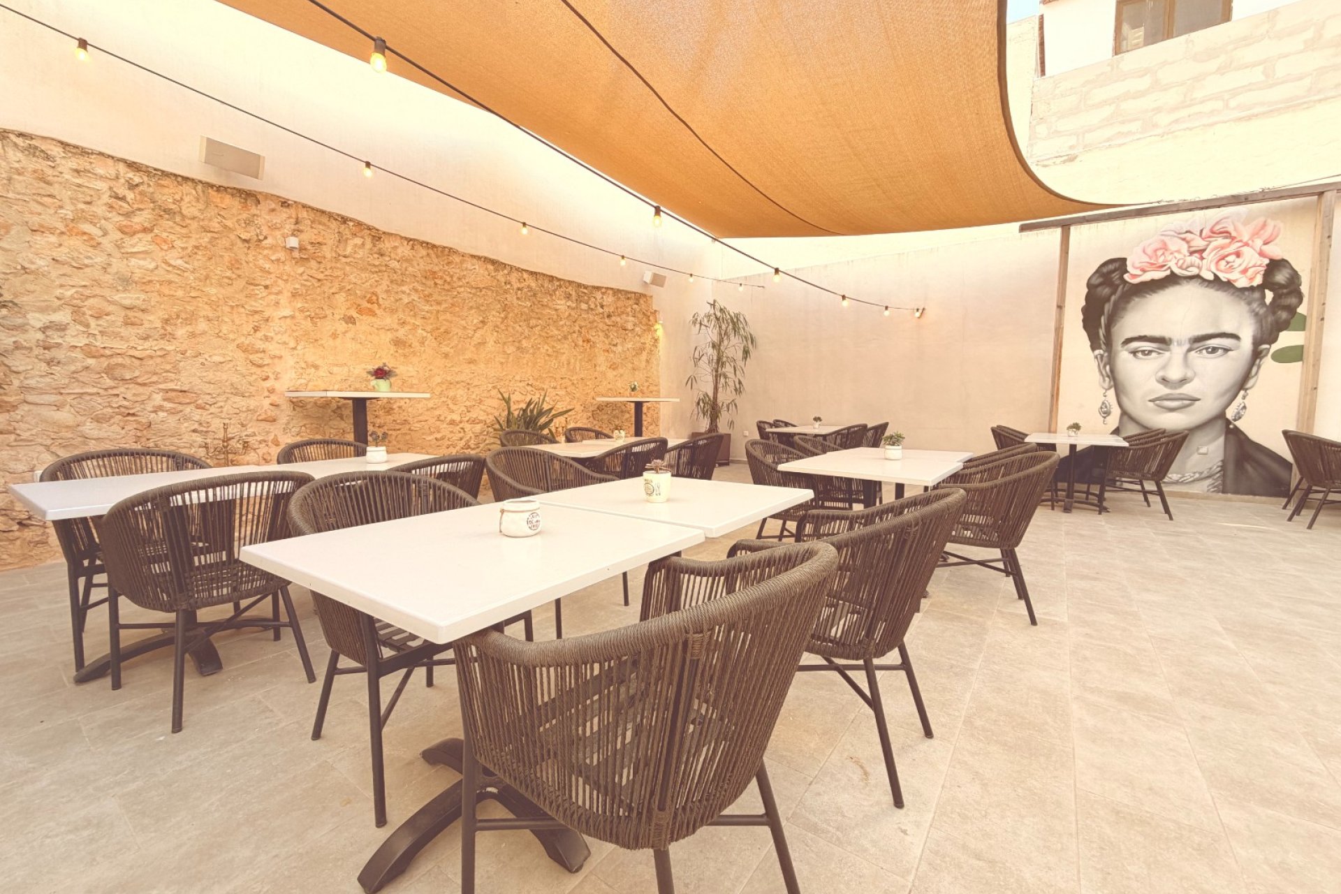 Transfert - Restaurant -
Torrevieja - Centro