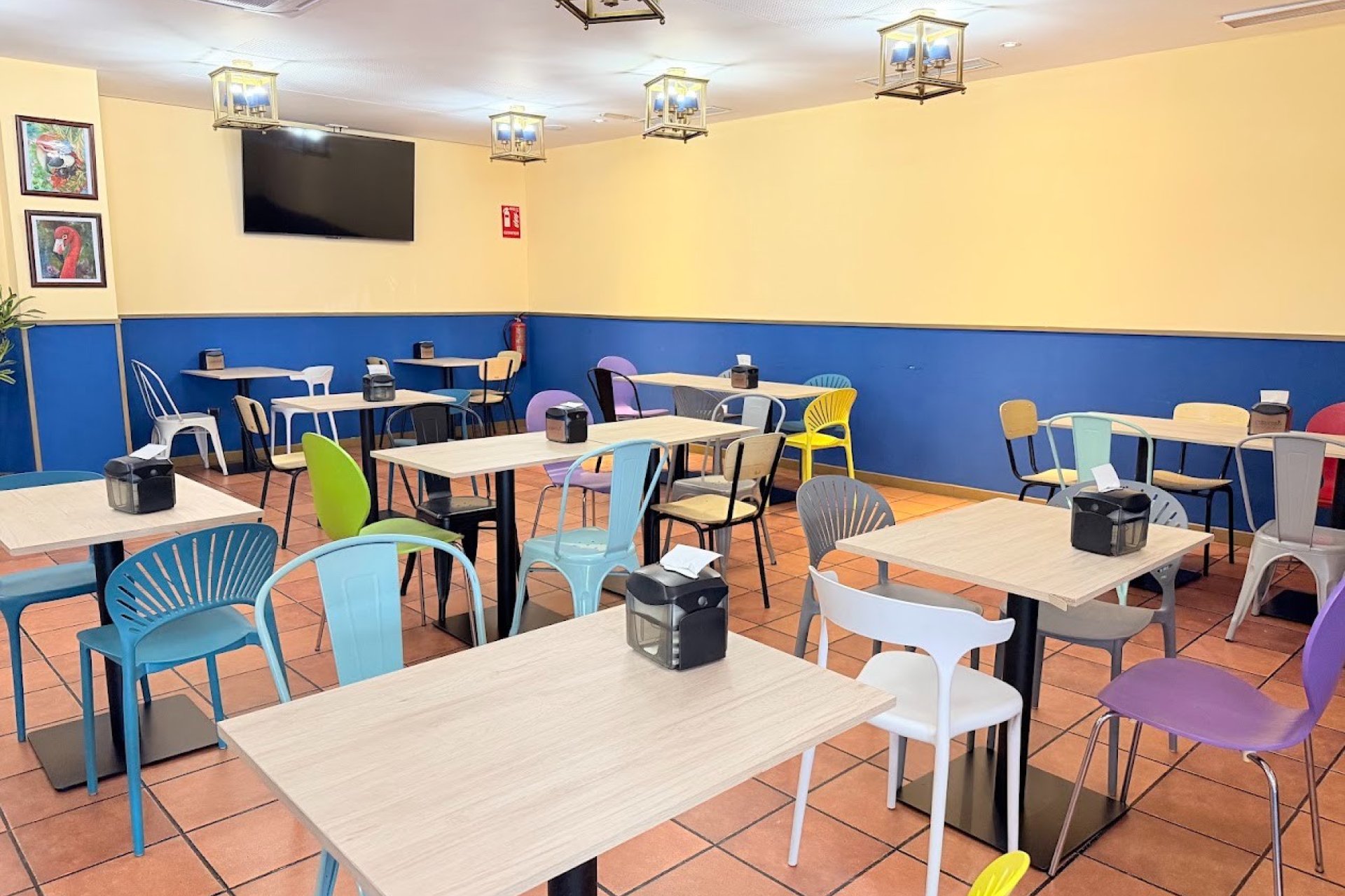 Transfert - Restaurant -
Torrevieja - Centro