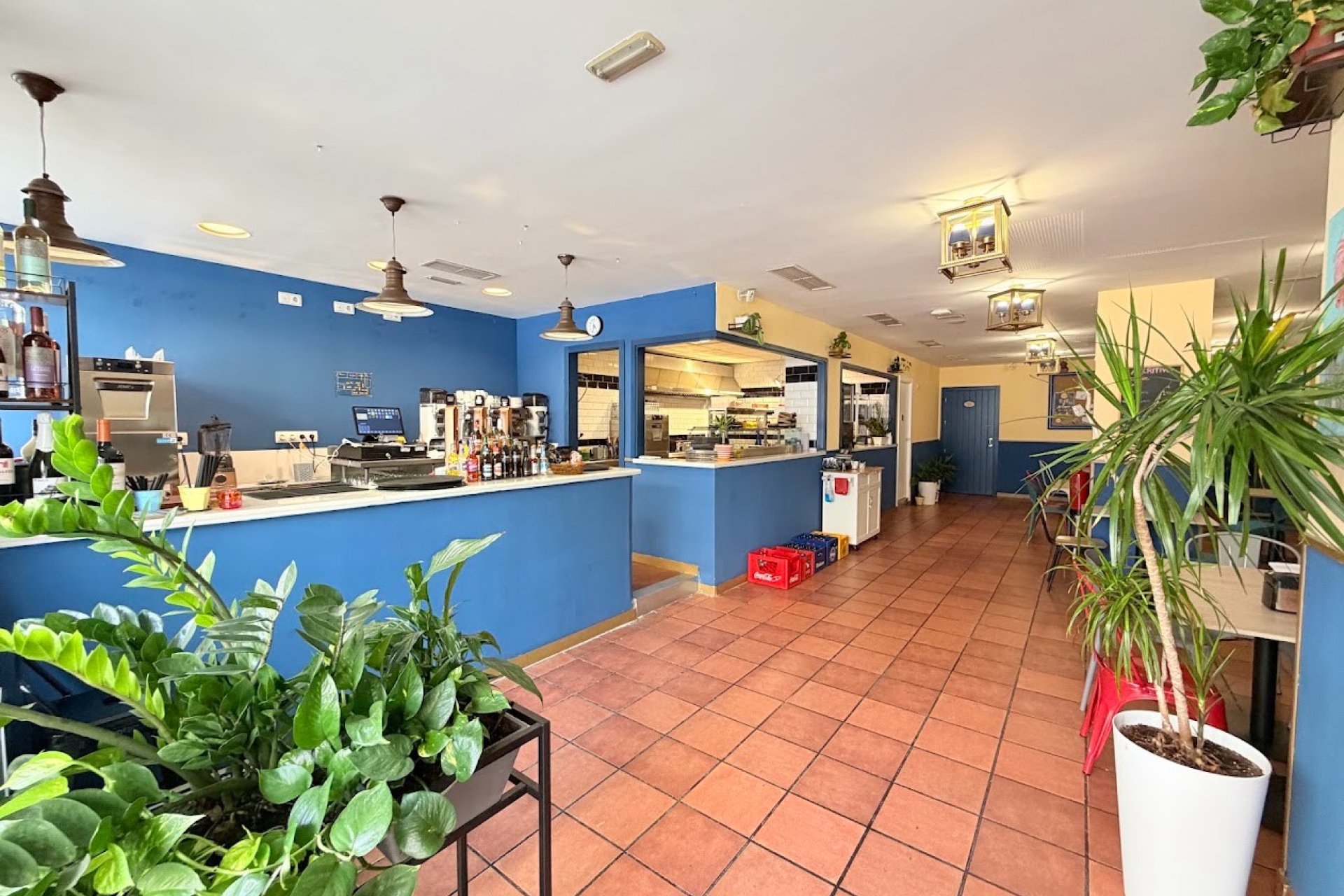 Transfert - Restaurant -
Torrevieja - Centro
