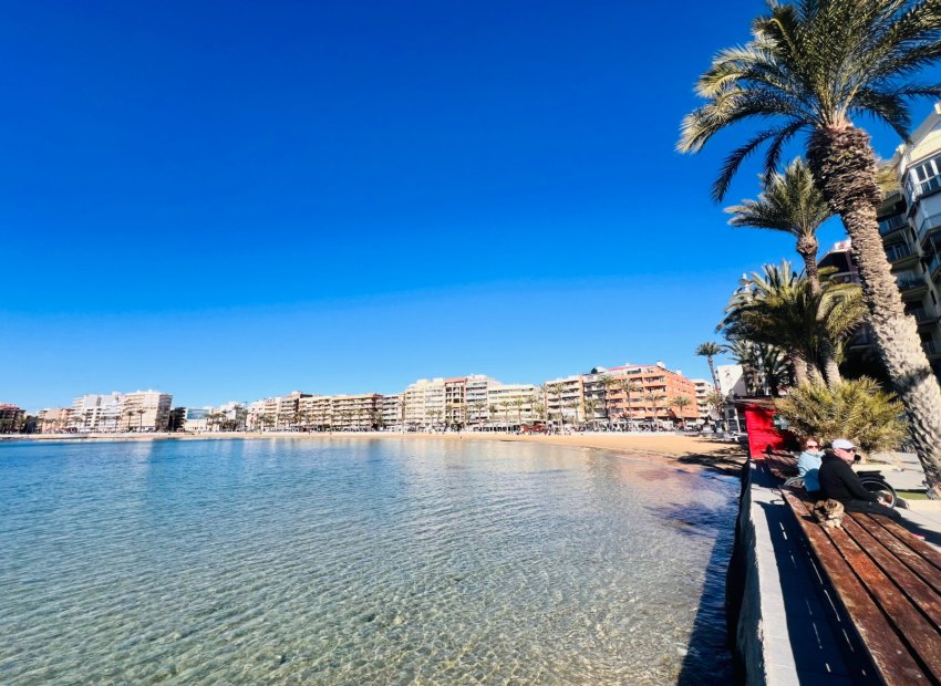 Transfert - Restaurant -
Torrevieja - Playa de los Locos