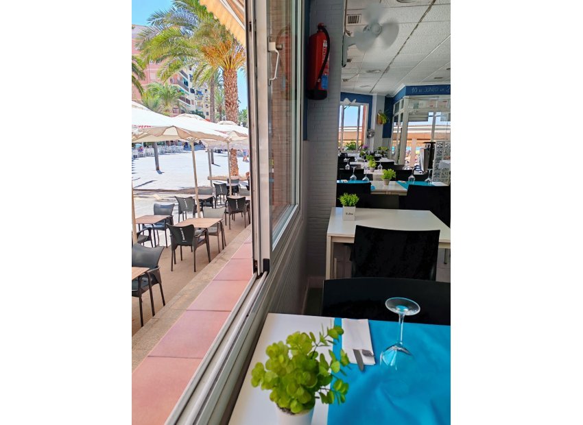 Transfert - Restaurant -
Torrevieja - Playa del Cura