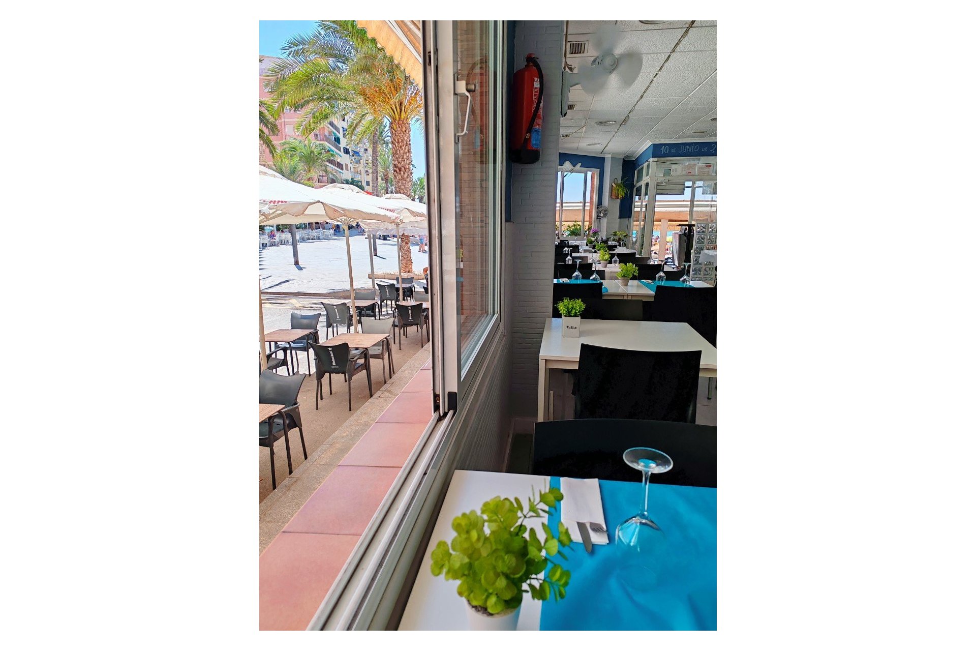 Transfert - Restaurant -
Torrevieja - Playa del Cura