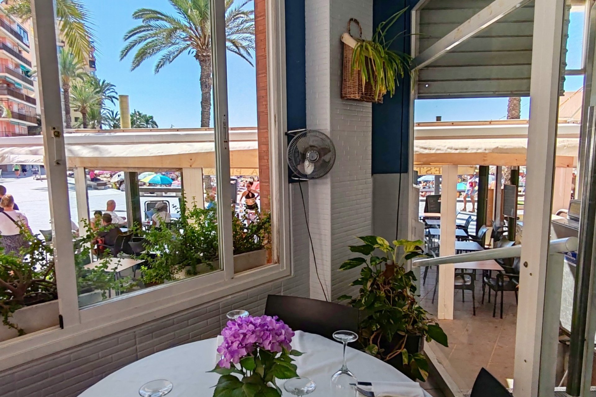 Transfert - Restaurant -
Torrevieja - Playa del Cura