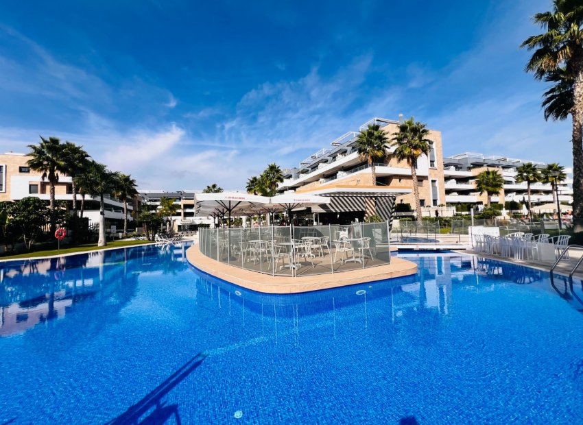 Traspaso - Bar - Cafeteria -
Orihuela Costa