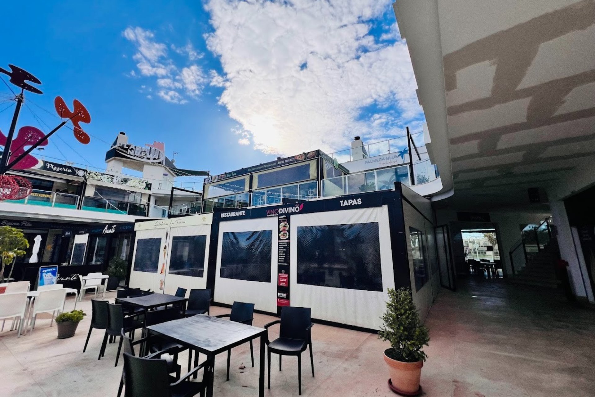 Traspaso - Bar - Cafeteria -
Torre de la Horadada