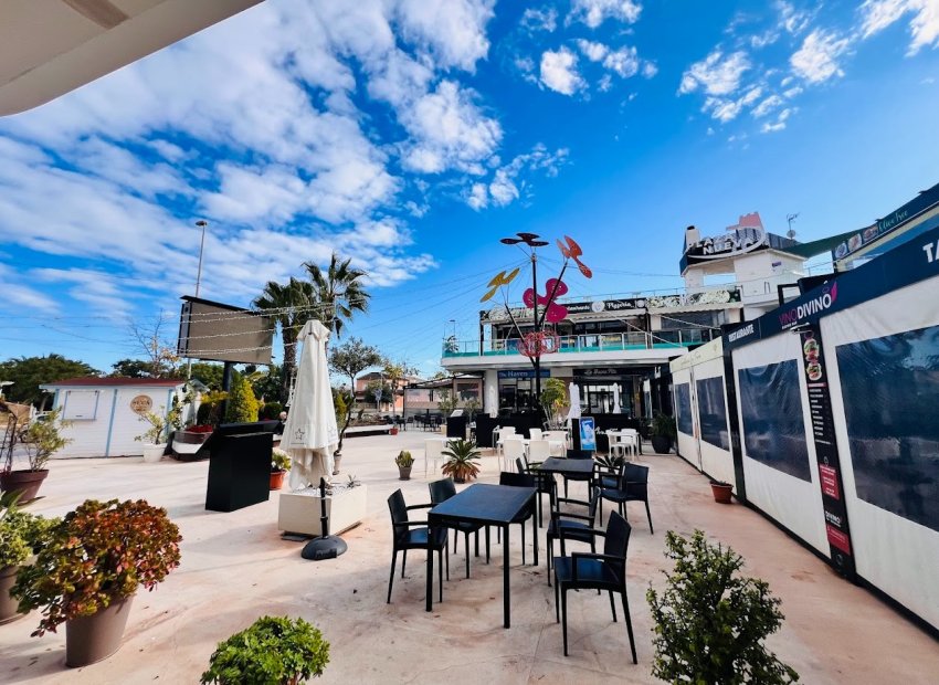 Traspaso - Bar - Cafeteria -
Torre de la Horadada