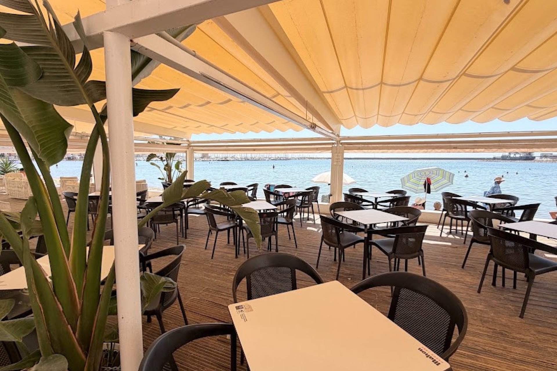 Traspaso - Restaurante -
Torrevieja - El Acequión - Los Náufragos