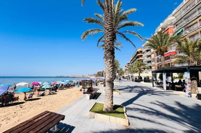 Transfer - Restaurant -
Torrevieja - Centro