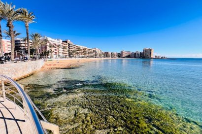 Transfer - Restaurant -
Torrevieja - Centro