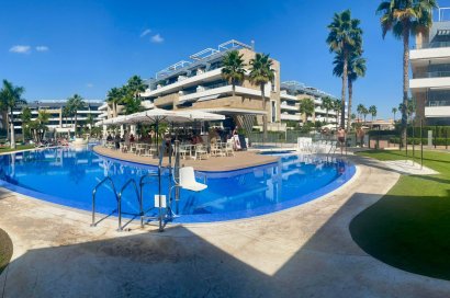 Transfer - Bar - CoffeShop -
Orihuela Costa