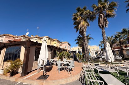 Transfer - Bar - CoffeShop -
Torrevieja - Centro