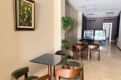 Transfer - Cafeteria -
Torrevieja - Centro