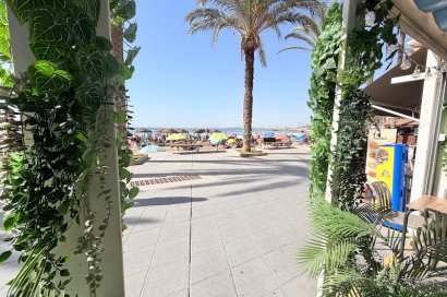 Transfer - Restaurant -
Torrevieja - Playa del Cura