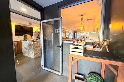 Transfer - Bar - CoffeShop -
Torrevieja - Centro