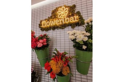 Transfer - Florist -
Pilar de la Horadada