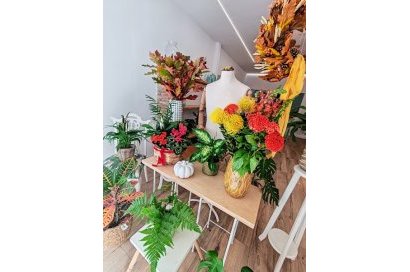 Transfer - Florist -
Pilar de la Horadada